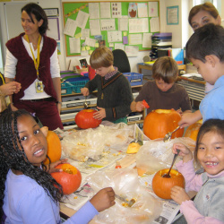 Frankfurt International School (2010-2012)